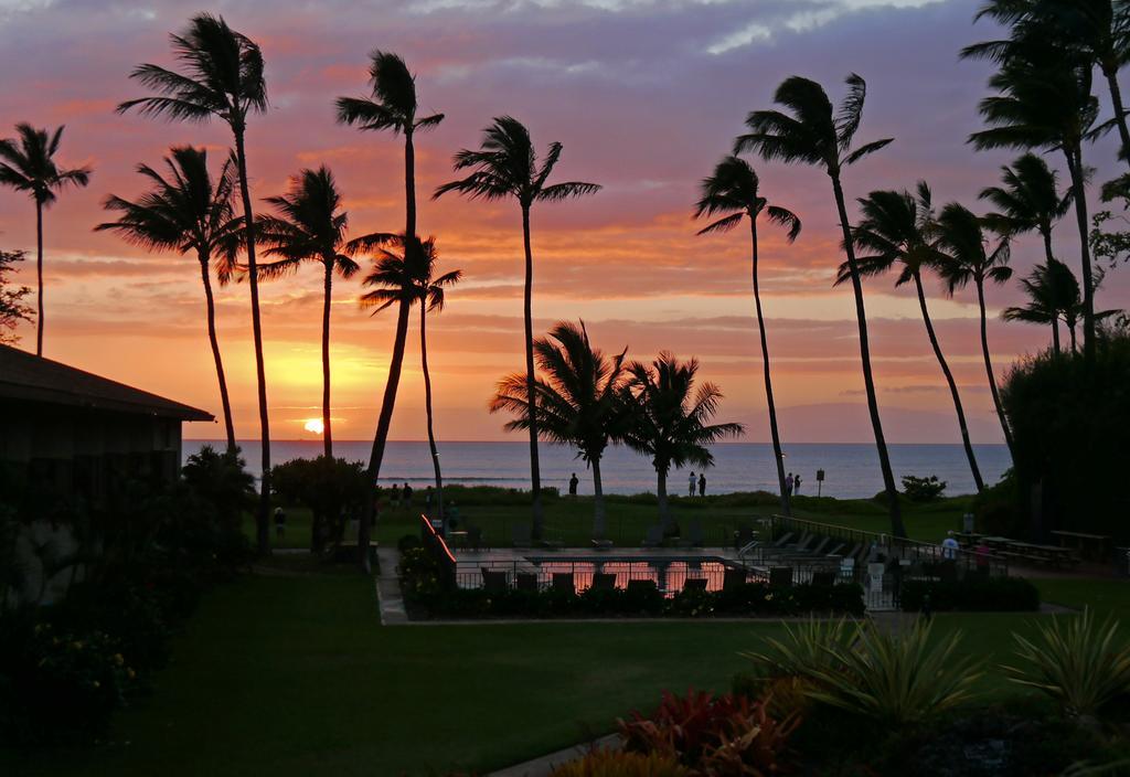 Beautiful 2Br 2Ba With Panoramic Ocean Views, Wifi, Free Parking! Kihei Eksteriør billede