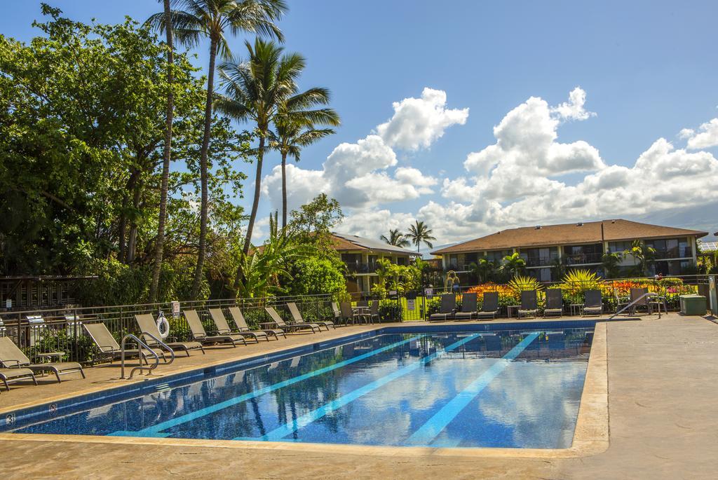 Beautiful 2Br 2Ba With Panoramic Ocean Views, Wifi, Free Parking! Kihei Eksteriør billede