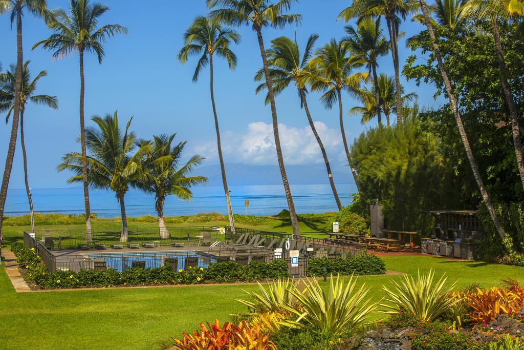 Beautiful 2Br 2Ba With Panoramic Ocean Views, Wifi, Free Parking! Kihei Eksteriør billede